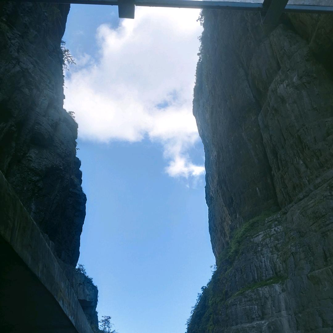 岳大宝