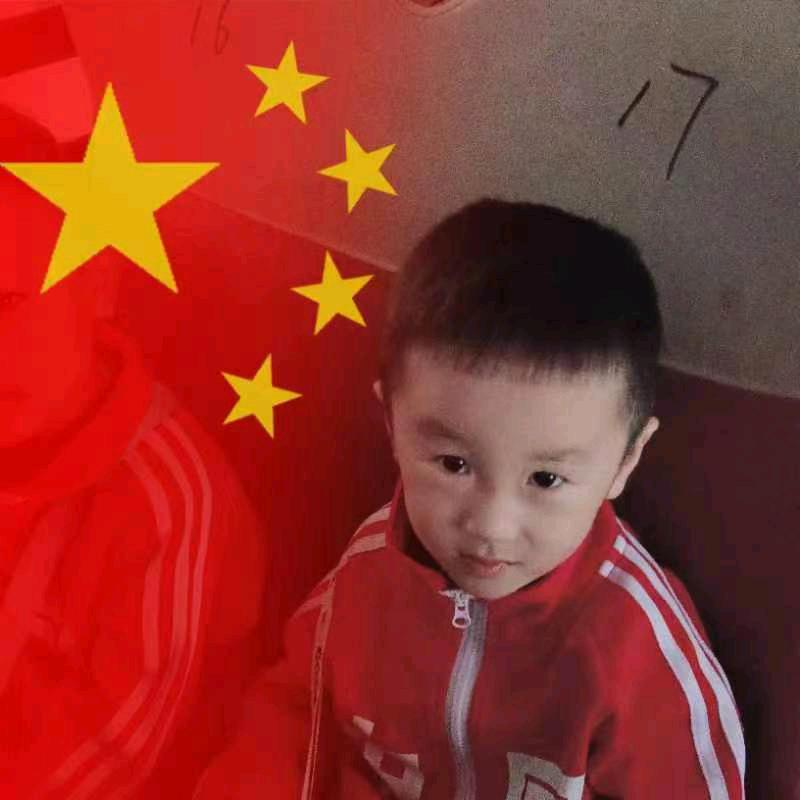 🌴龍行天下🌴