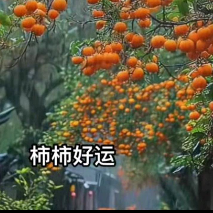 小平优选超市
