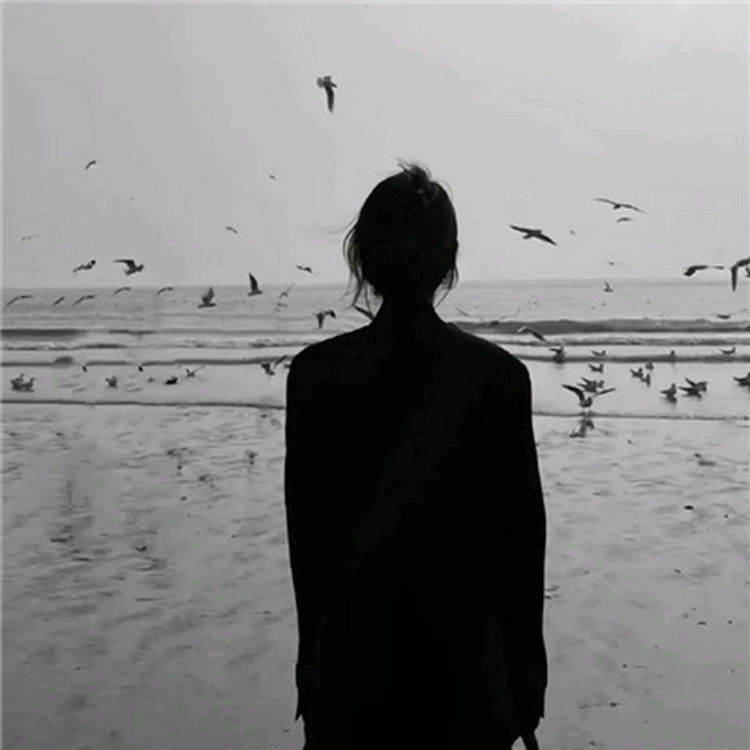 江婉🍂