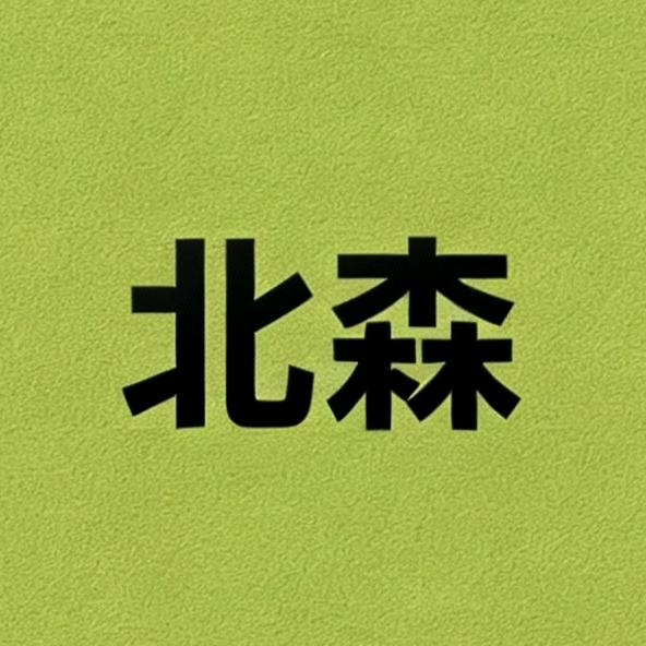 北森鞋业