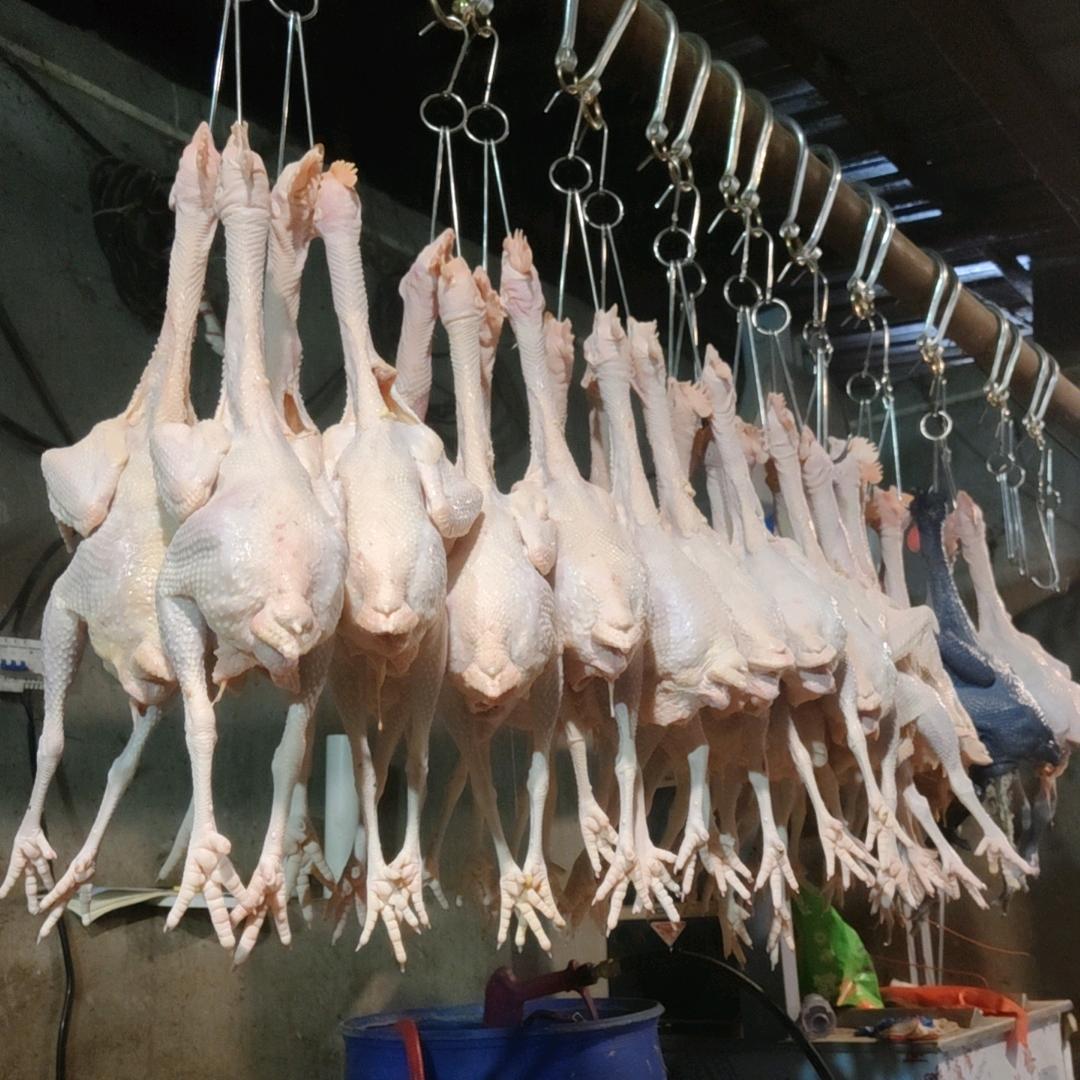 徐记清真牛羊肉鲜鸡官方号