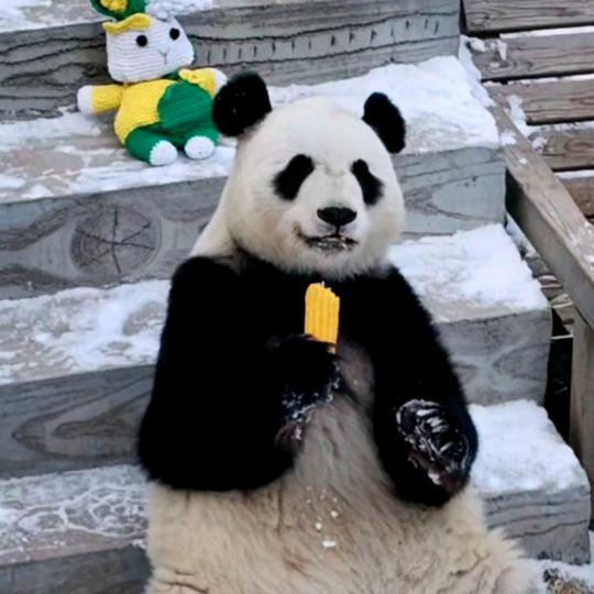 墨韵兰心