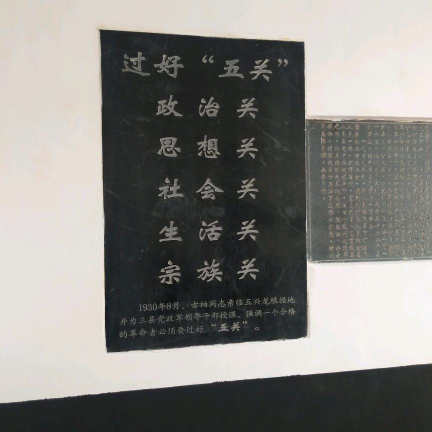抖抖