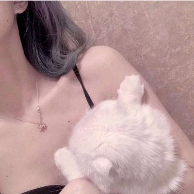 小锅婷💋👑