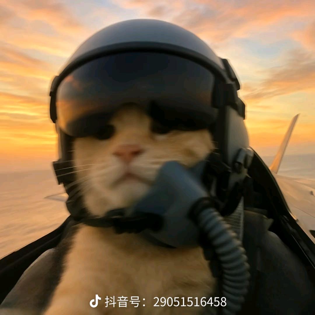 那惊鸿一瞥，误入眉眼，欢喜多年