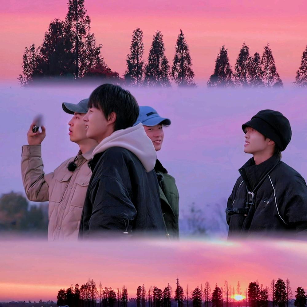 莫待无花空折枝_22