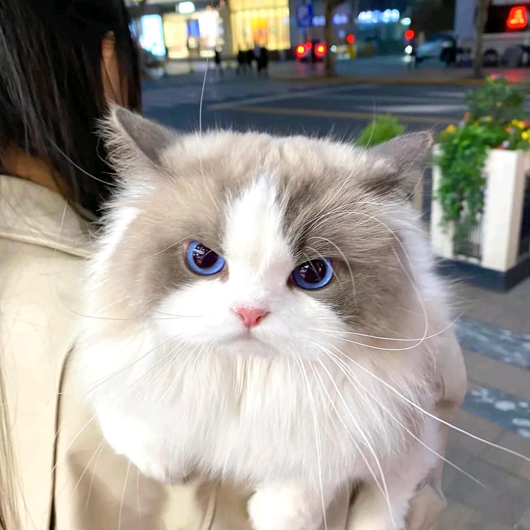 爱运动的小杨