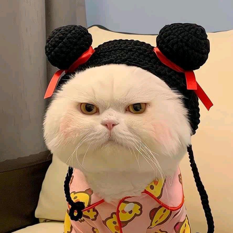 大雁