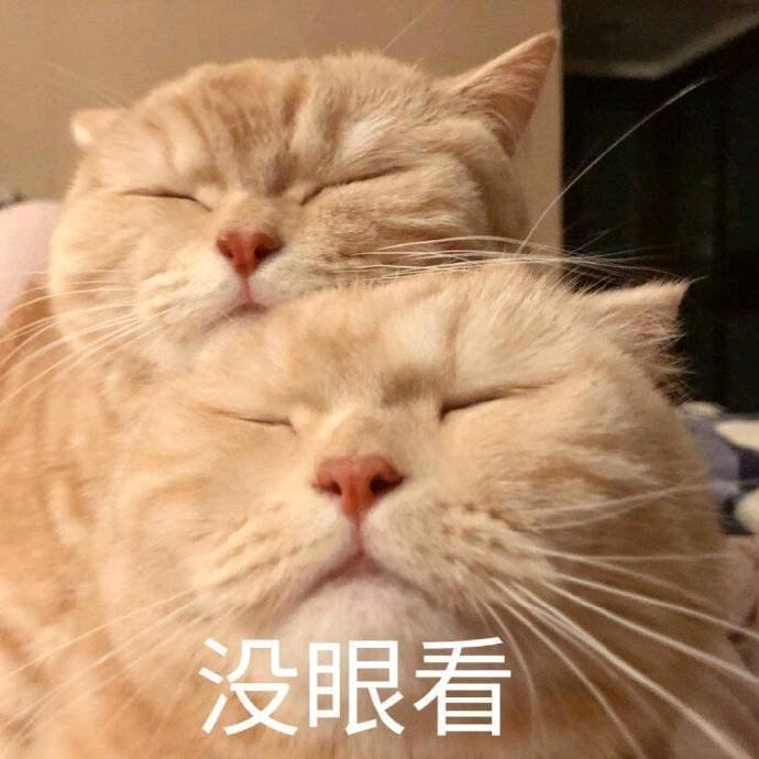 蝴蝶与鲸