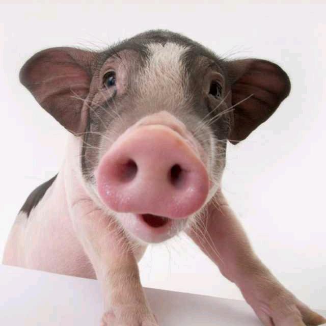 💞王笑₅₂₀¹³¹⁴