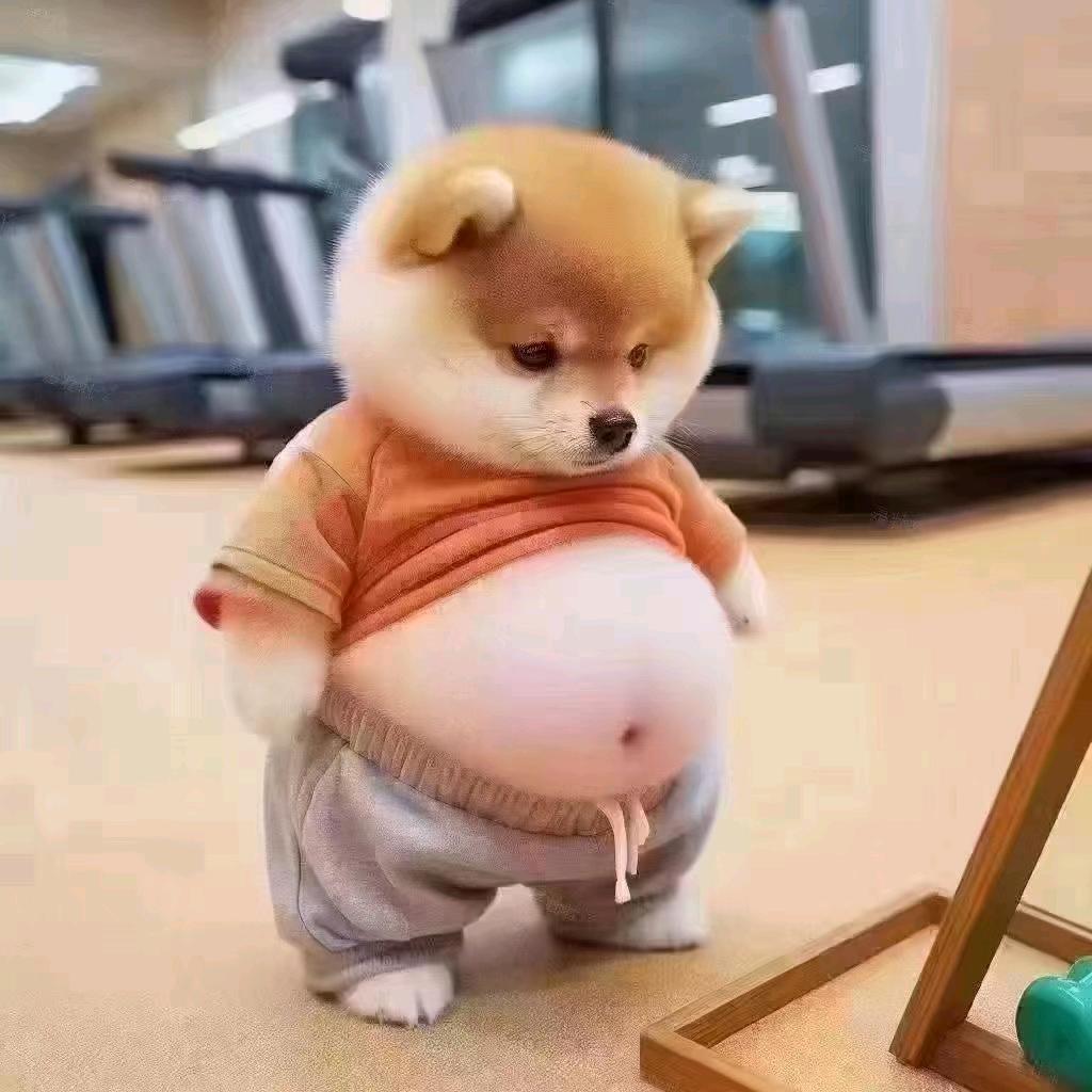 上海金铲铲汽车服务有限公司