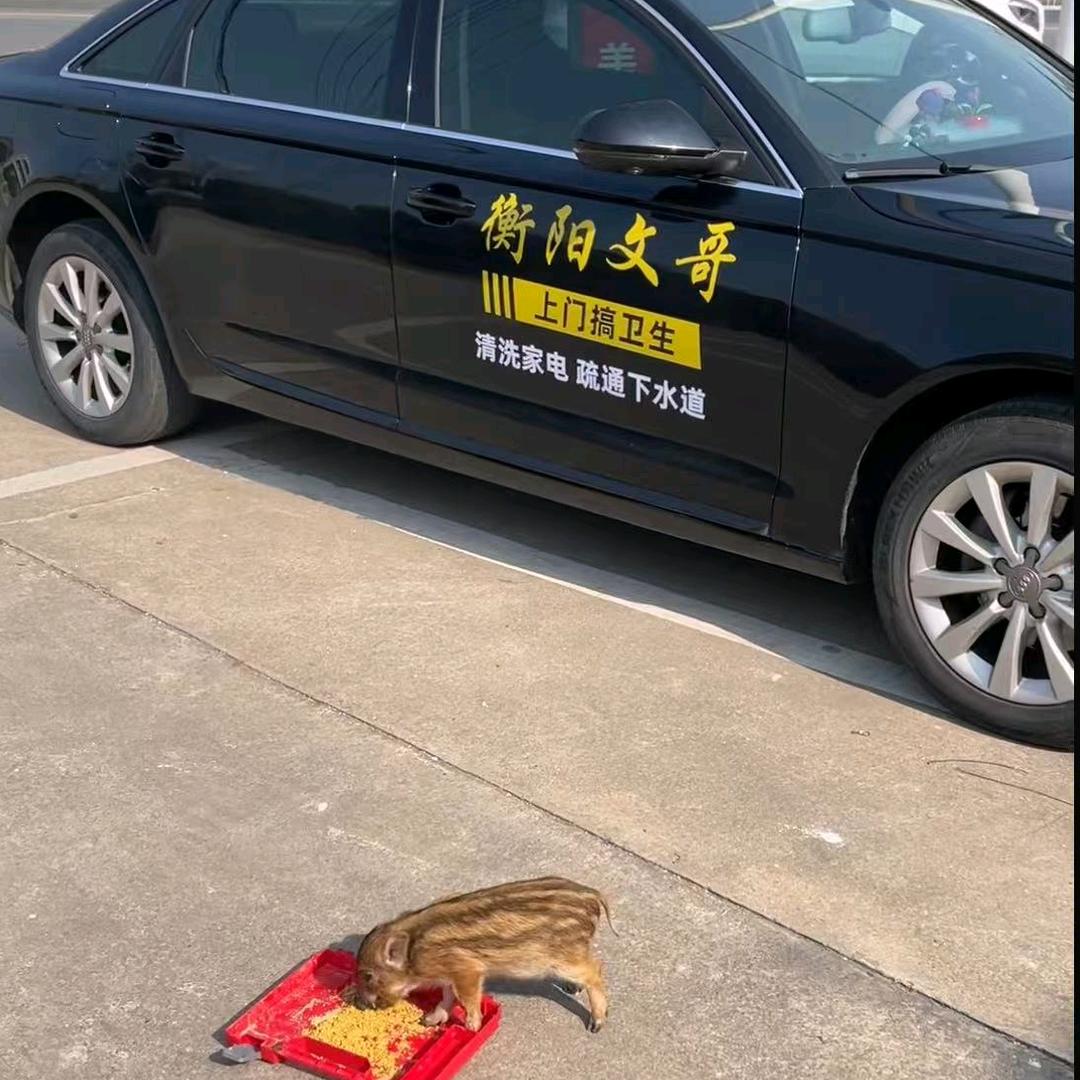 衡阳文哥家政（家电清洗、厨电销售）