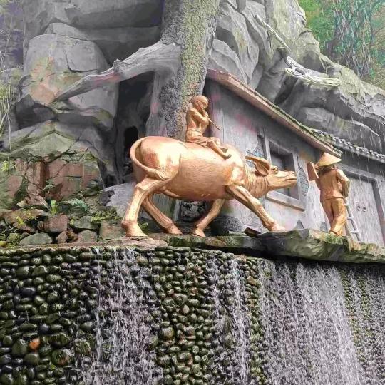 孤心亦寒