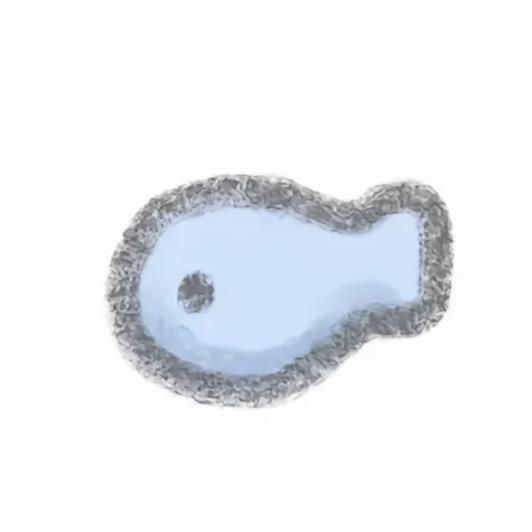 小鸟