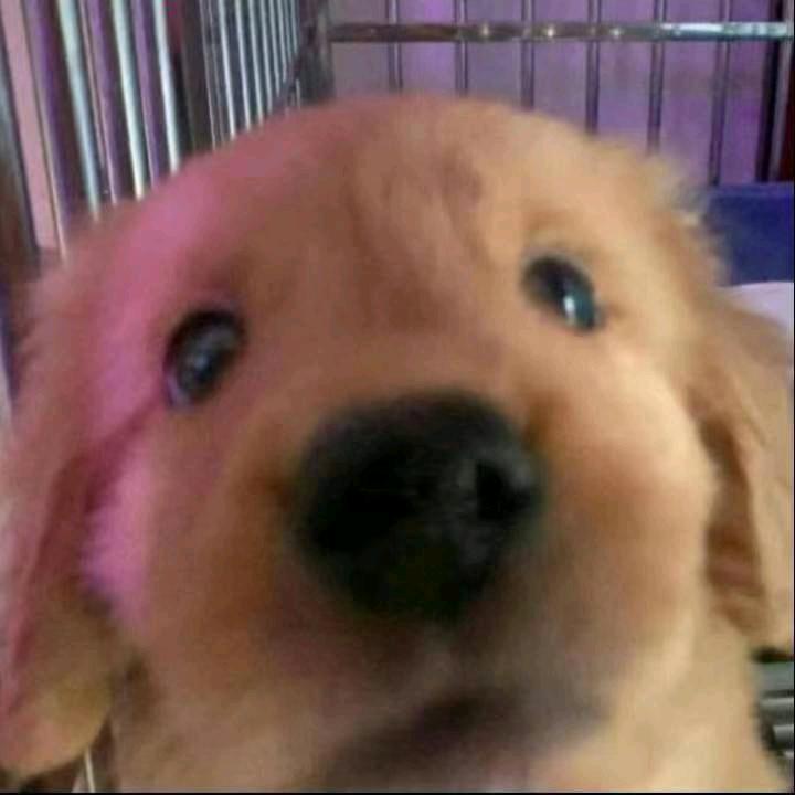 K࿩࿭࿱