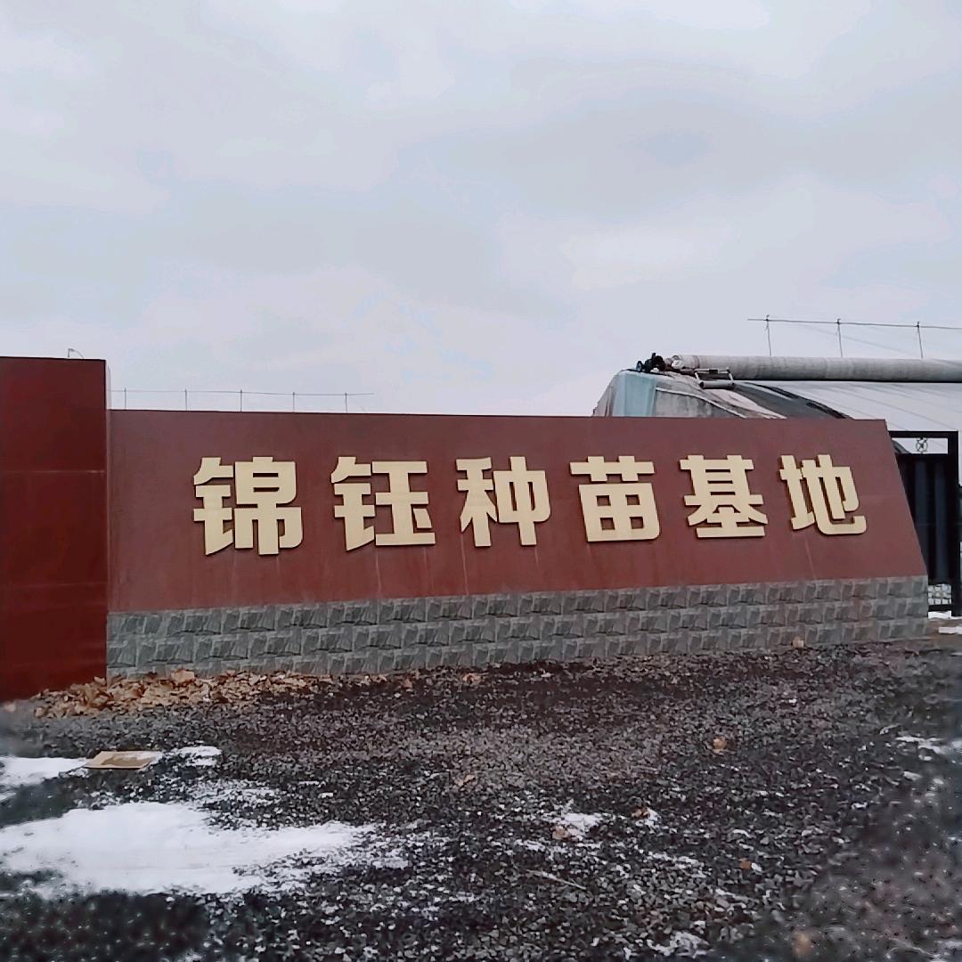 锦钰种苗培育基地