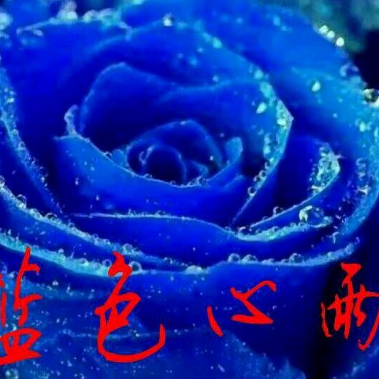 蓝色心雨