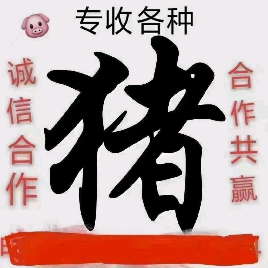 收售仔猪，肥猪，淘汰公母猪