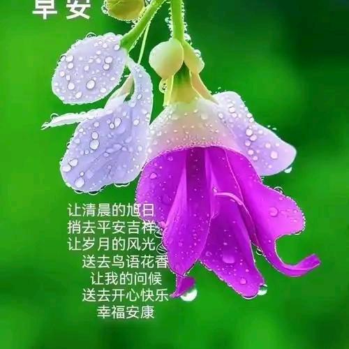 心怡好物