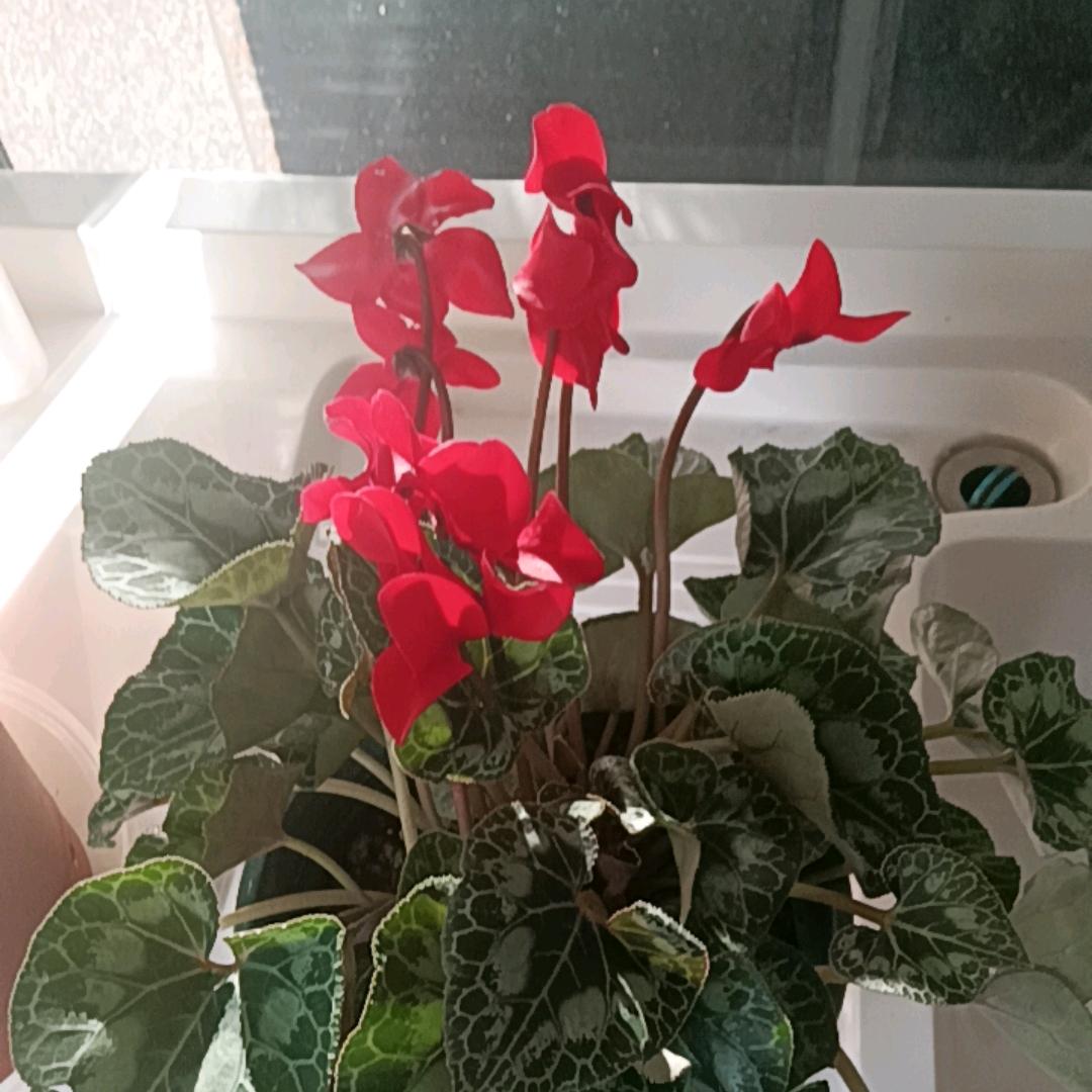 海纳百川（鑫310）