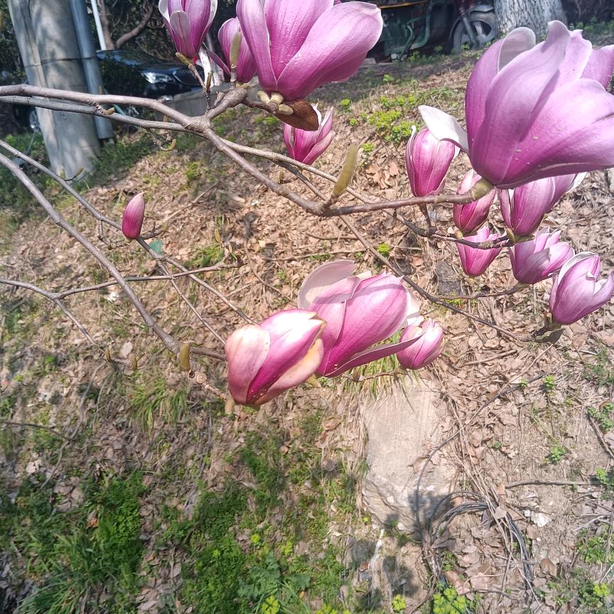向前发展