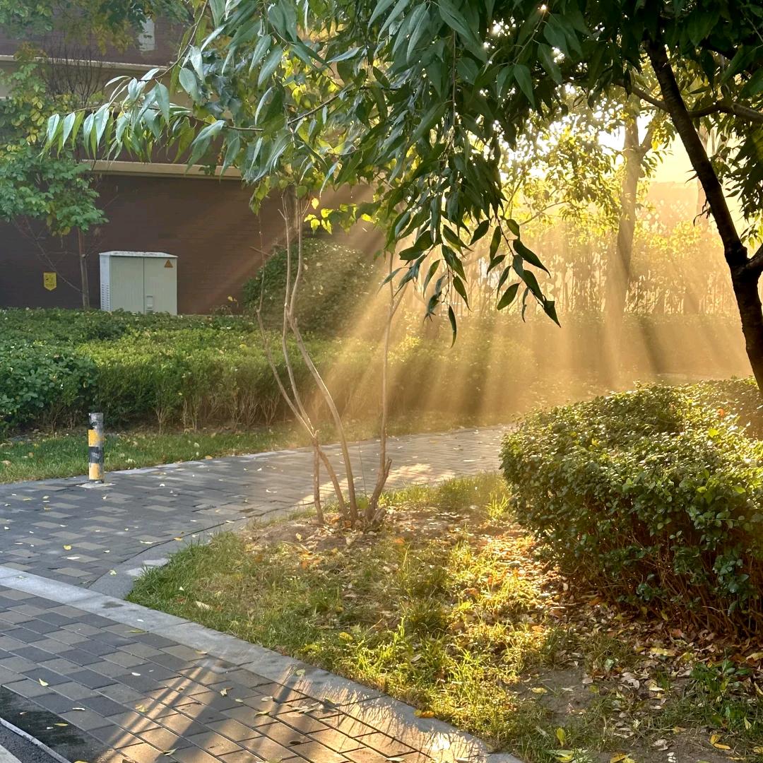 好物分享💞💞