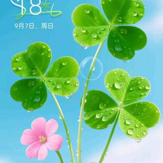 香香好物