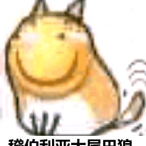 夜迟宴