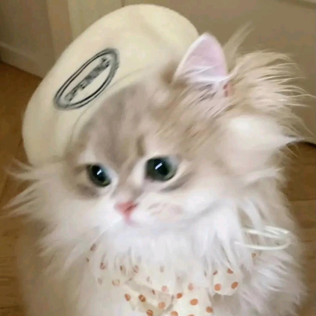 咯呜喔郭