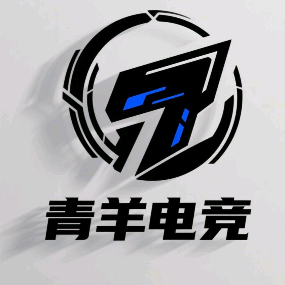 青羊电竞俱乐部（护航板）