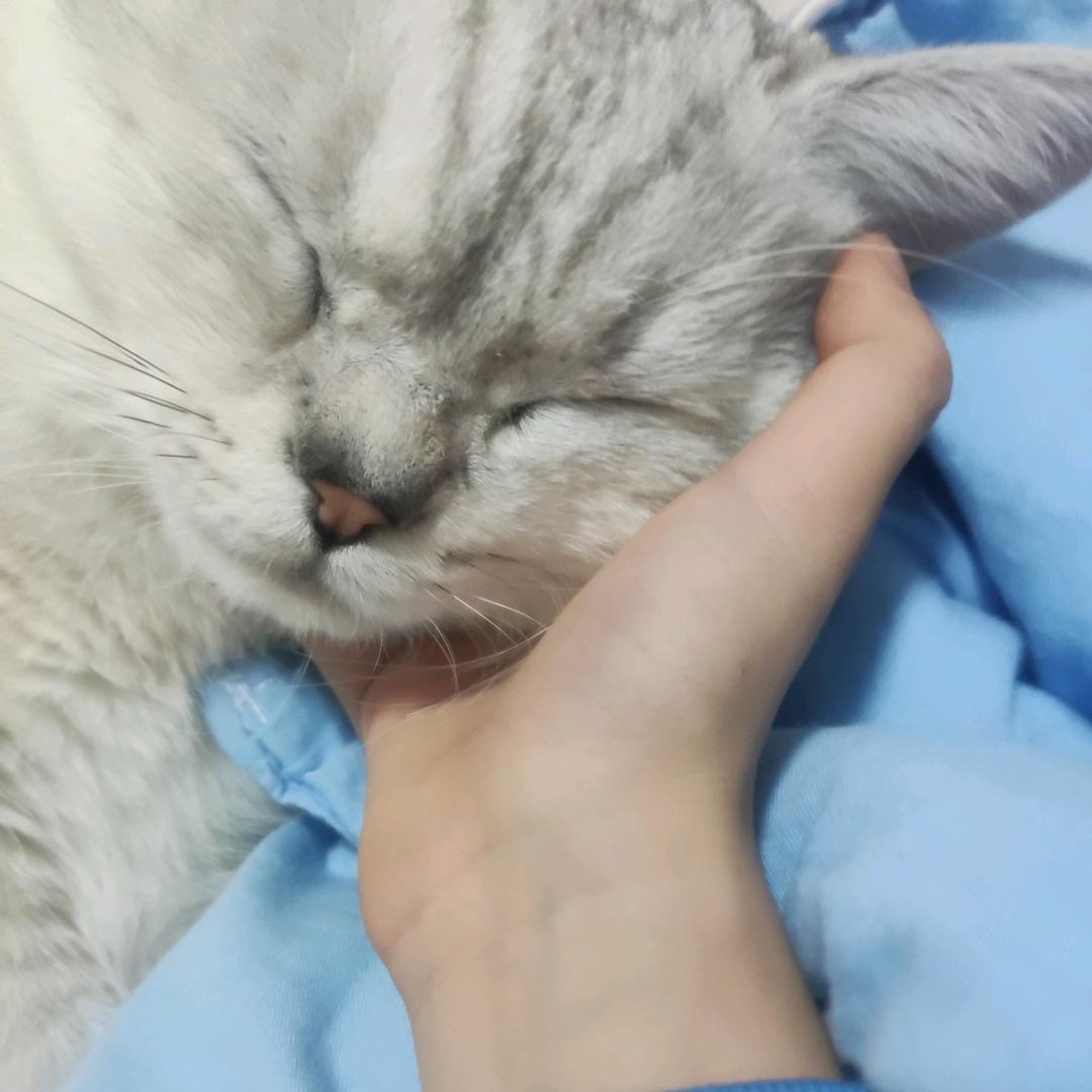泓睿