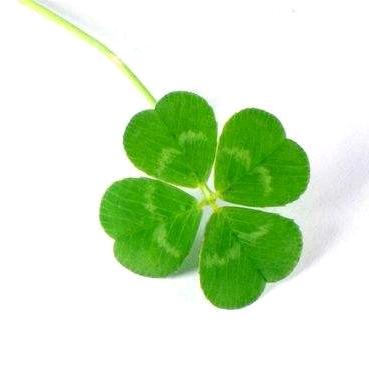 🍀再煩也别忘记微笑😊