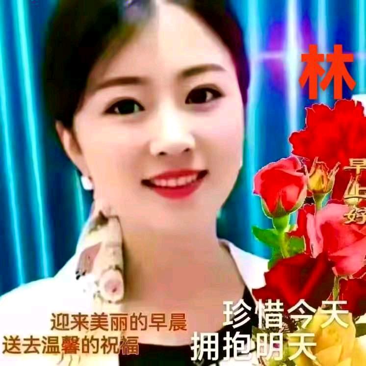 林凤