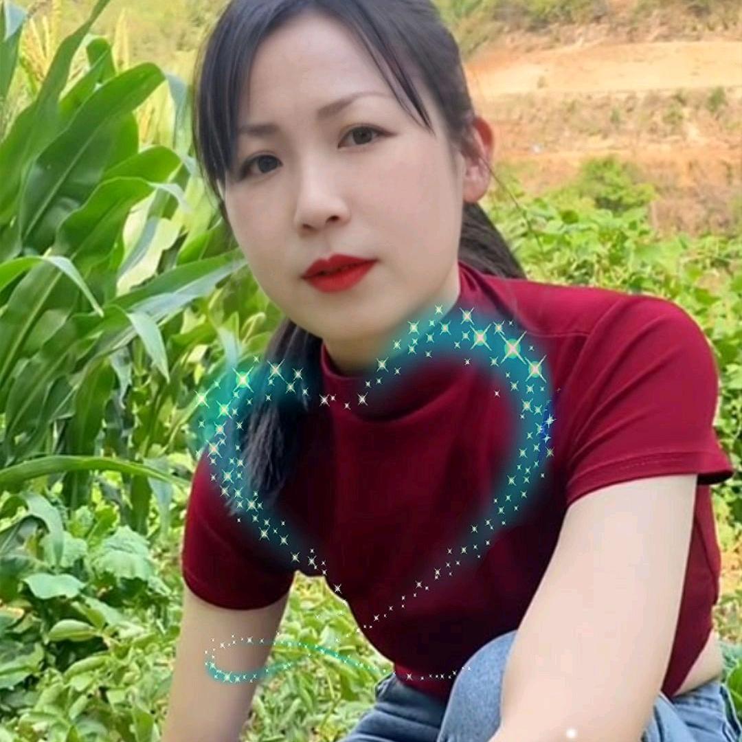 小杨