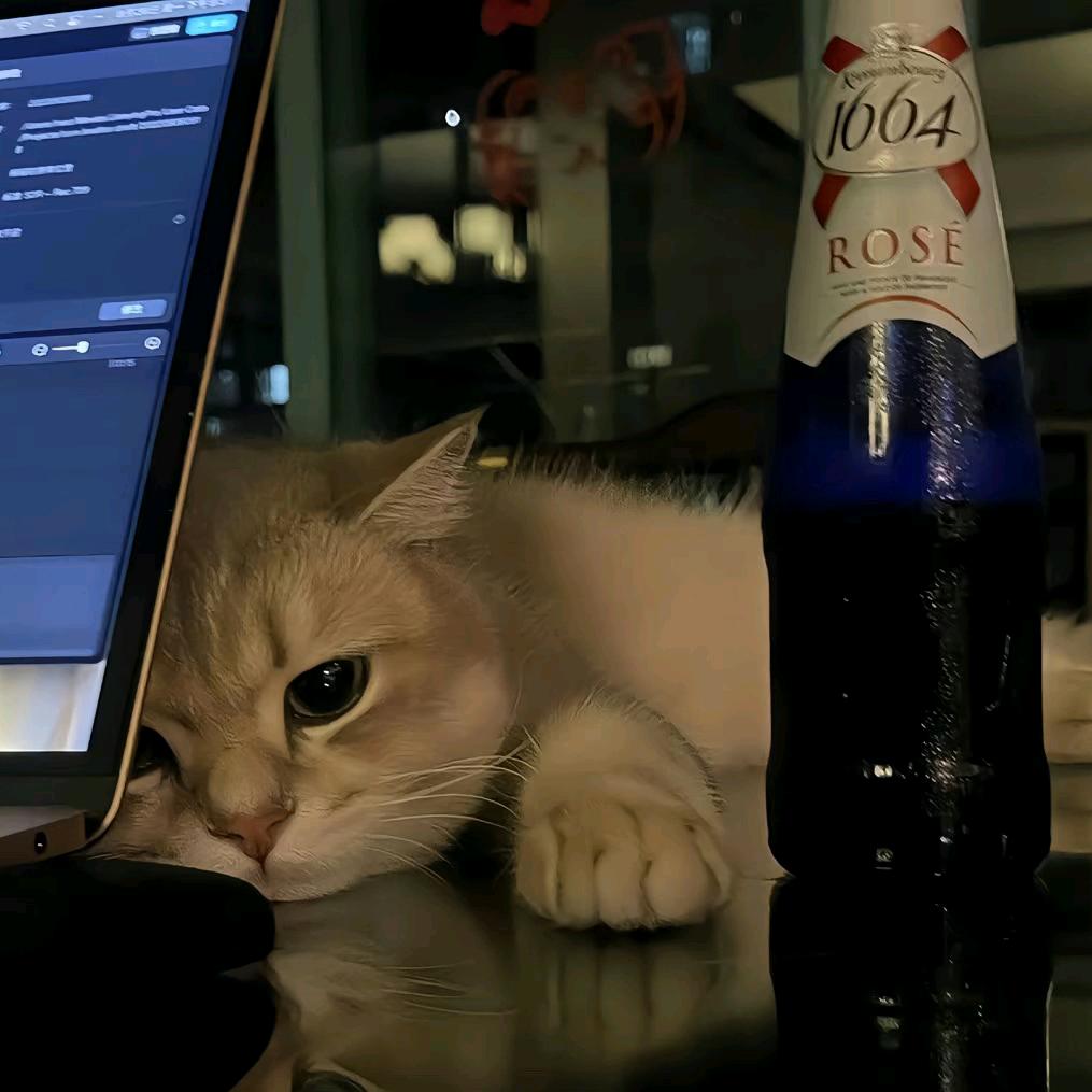 今晚喝醉了.🎈