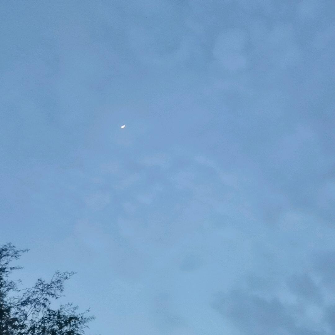 清风与灯
