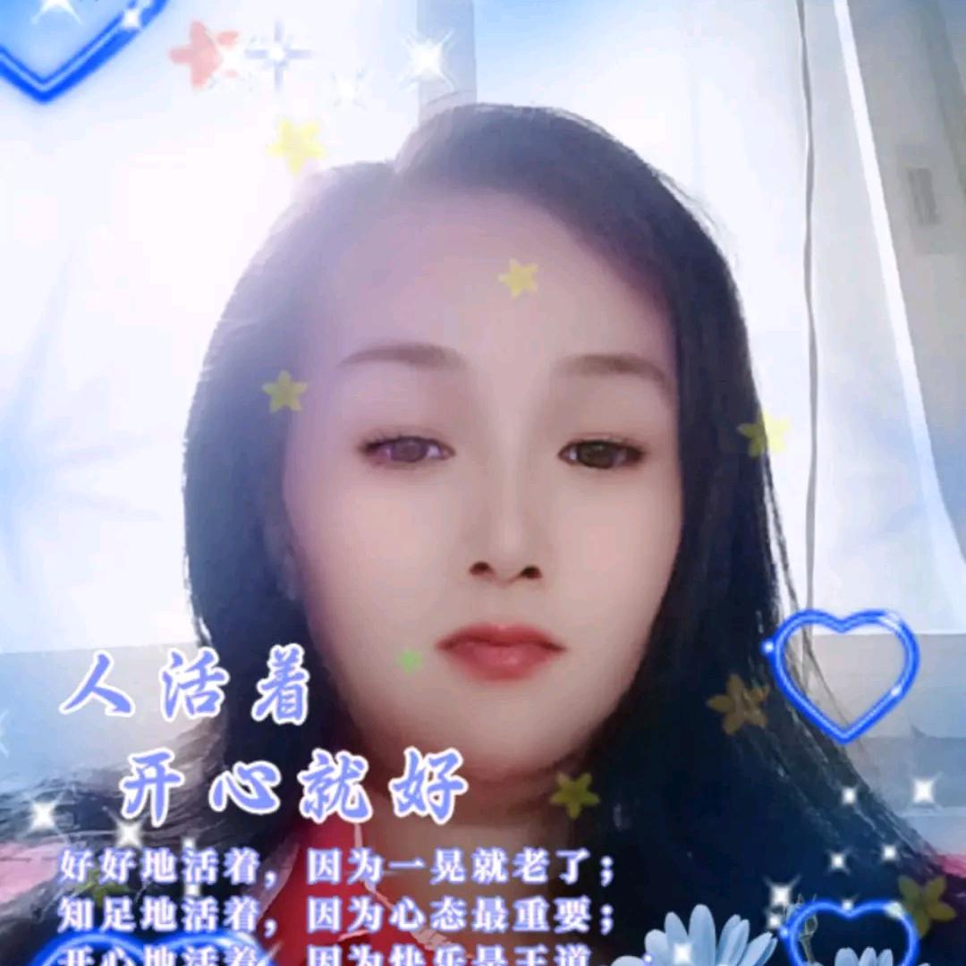 琴