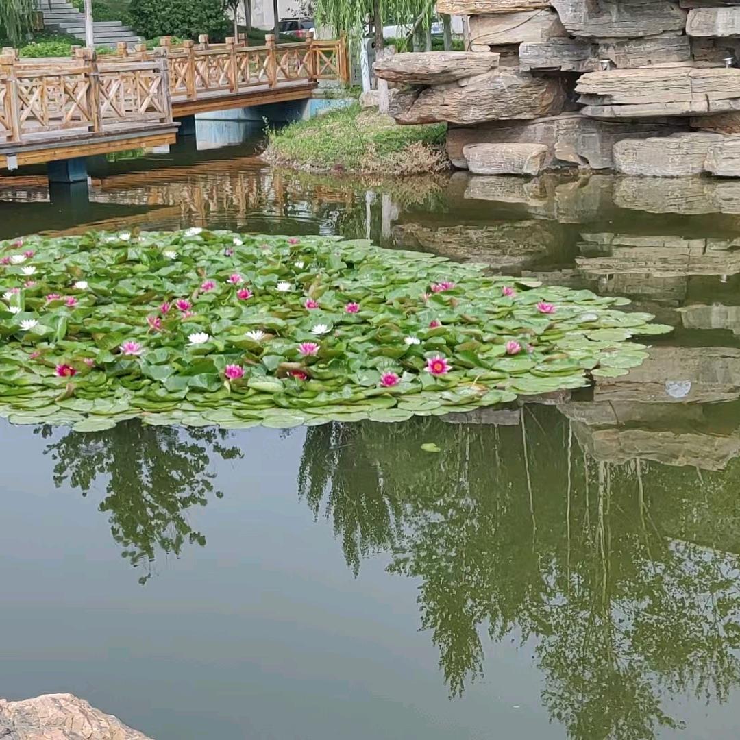 此号已废请加新号