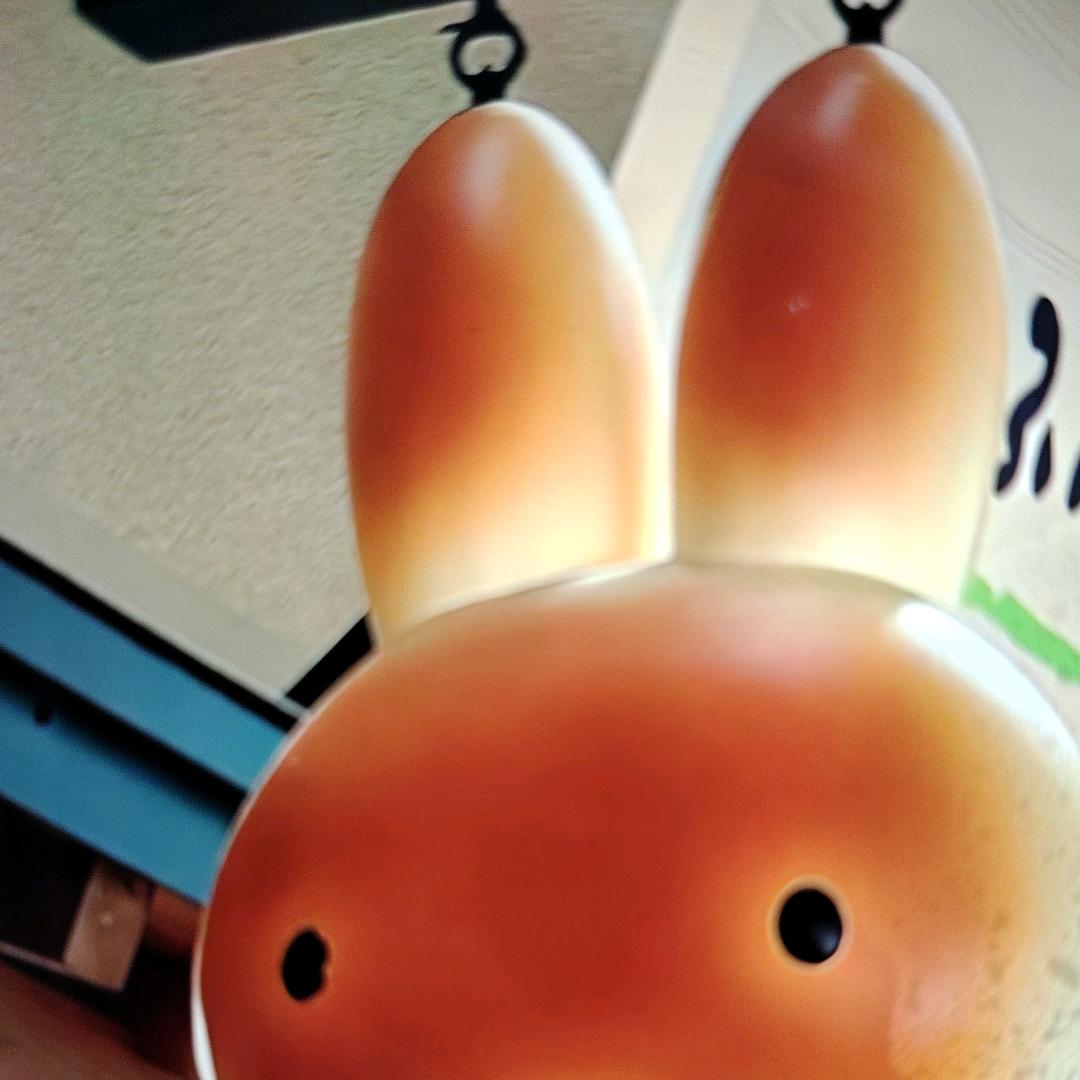 重新开始