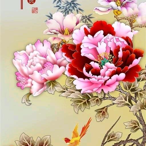 阳光倾城