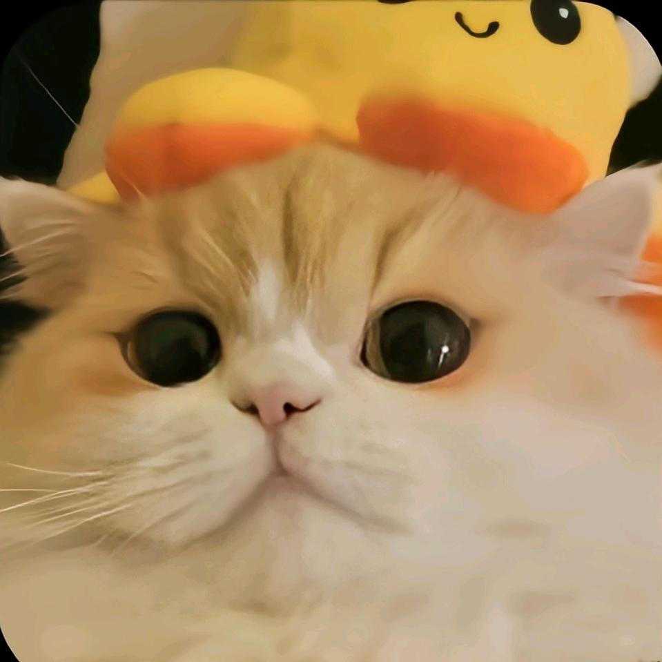 无可奈何花落去