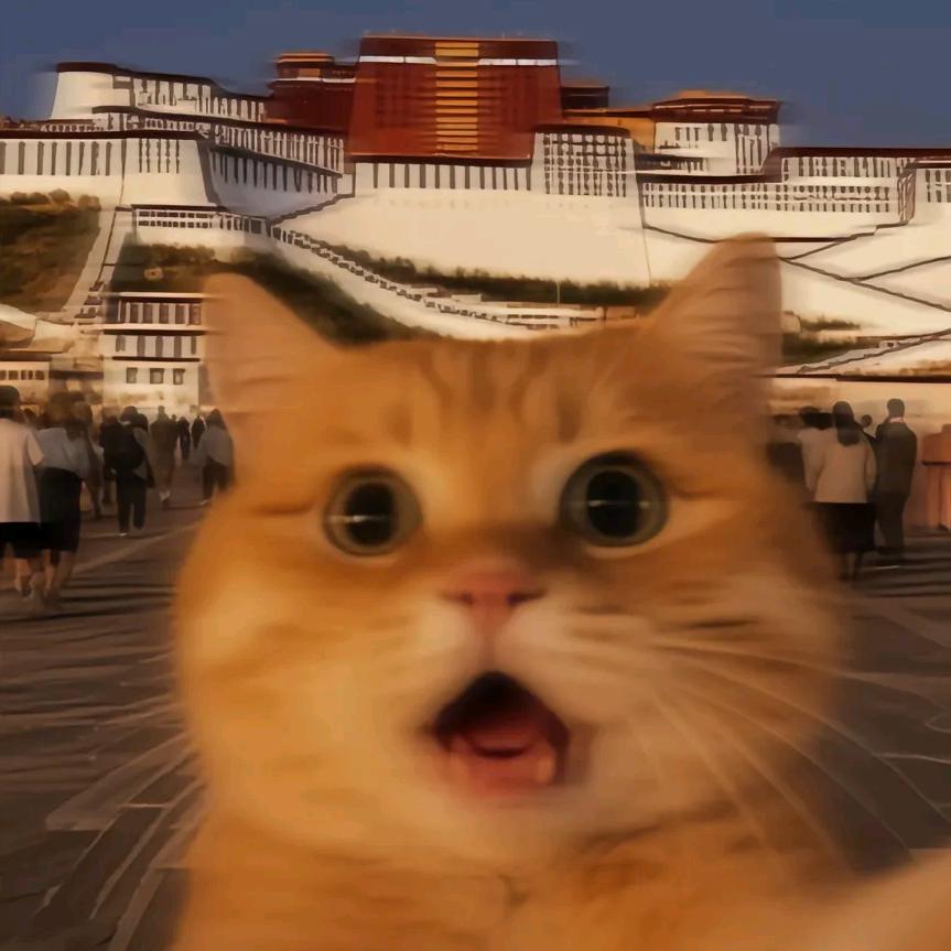 莱克·尹轩（学以开）