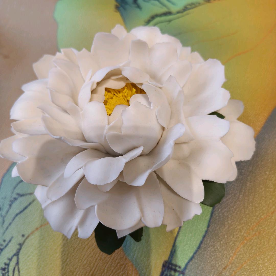 兔宝宝🌹🌹🌹