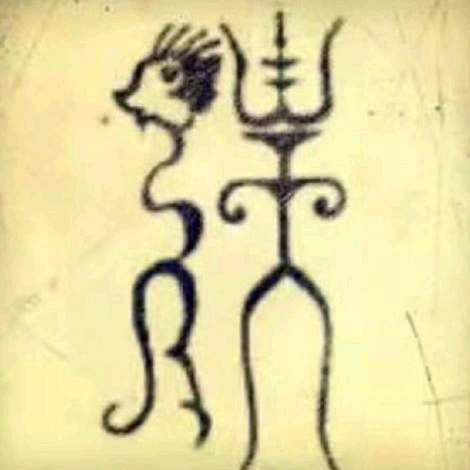 气氛组组长（互关必回）