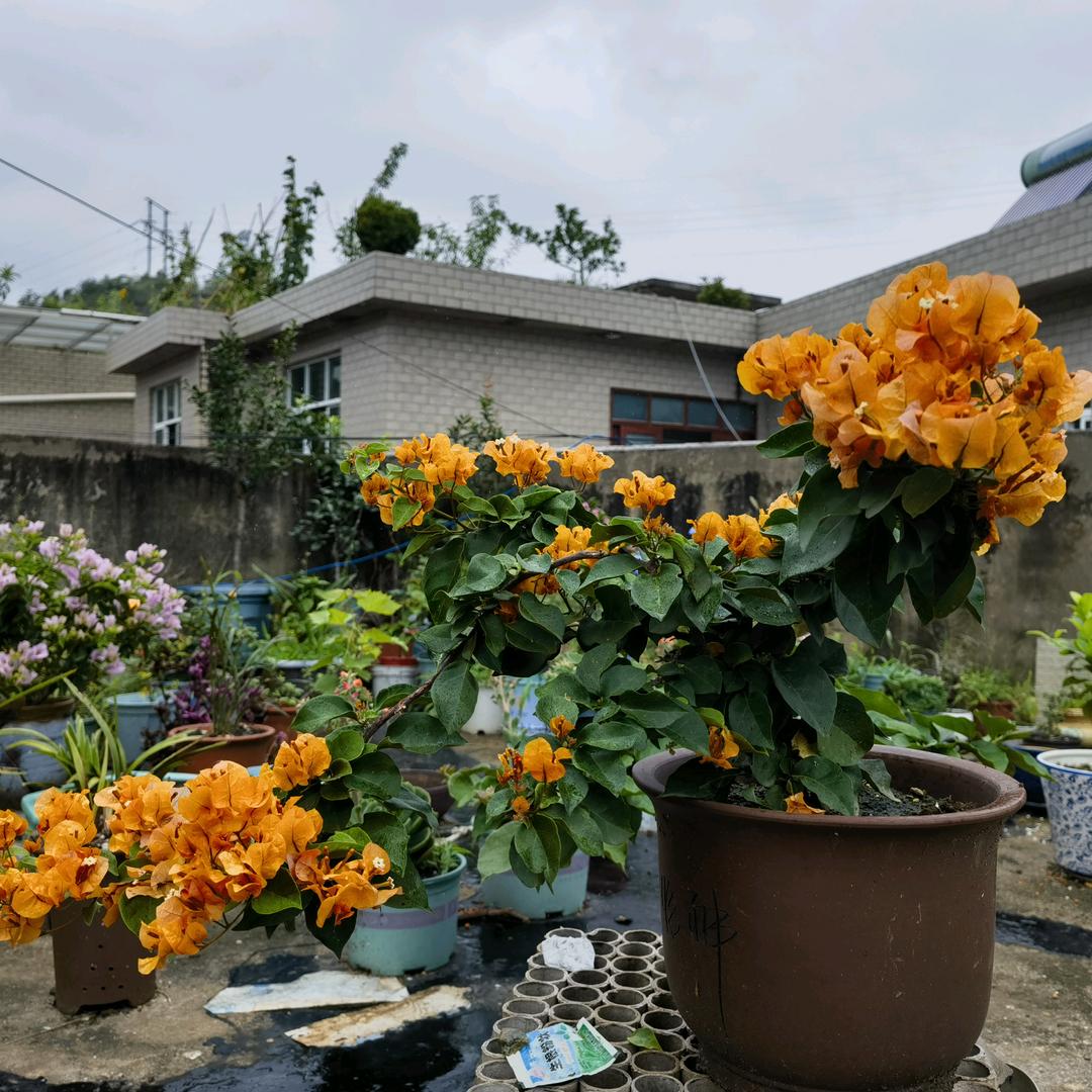 承蒙时光不弃！