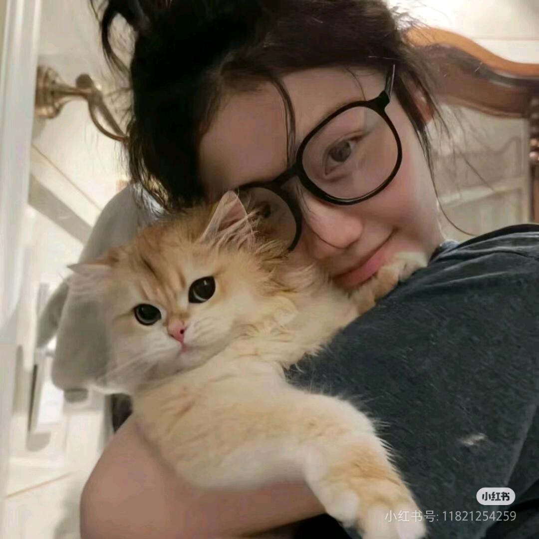 Stella✔