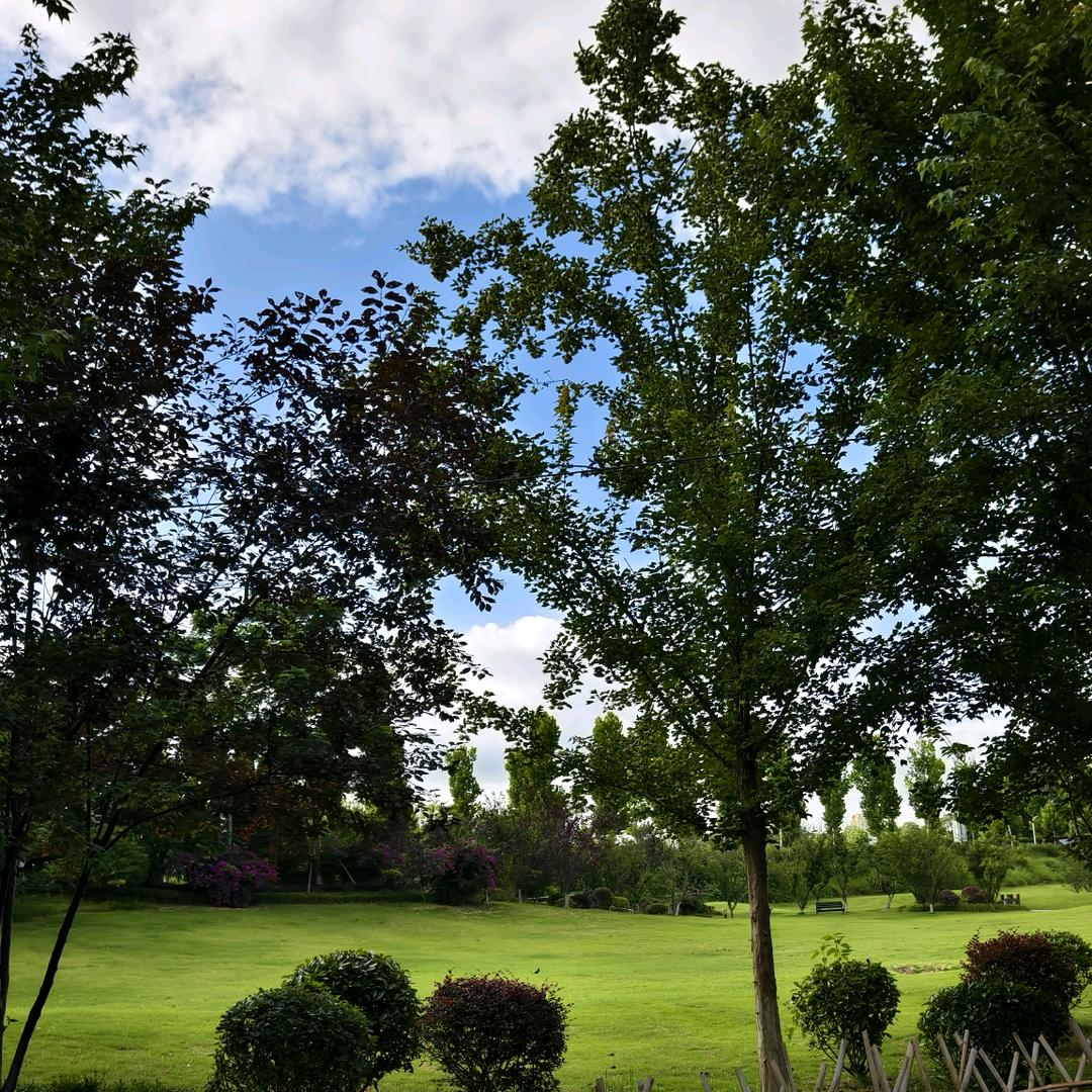 本人智商已欠费