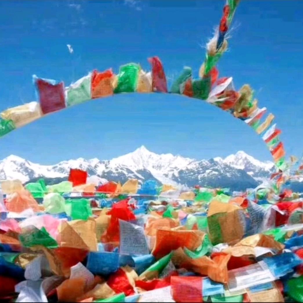 图登