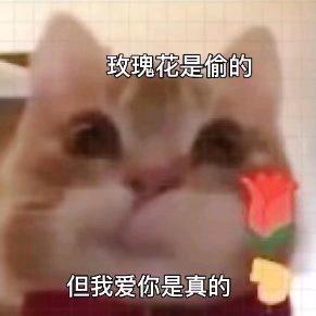 火钳🍯（离不开奈奈版）